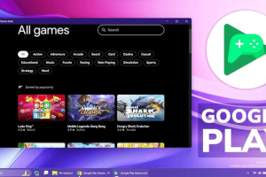 Play Store Download for PC Windows